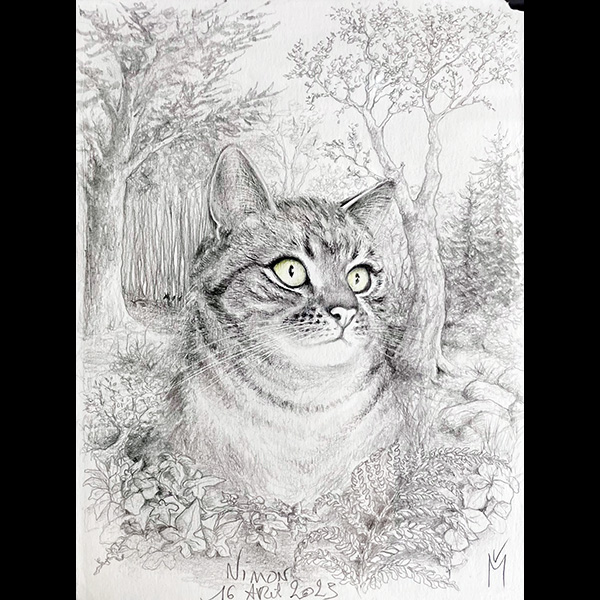 magnin-dessins