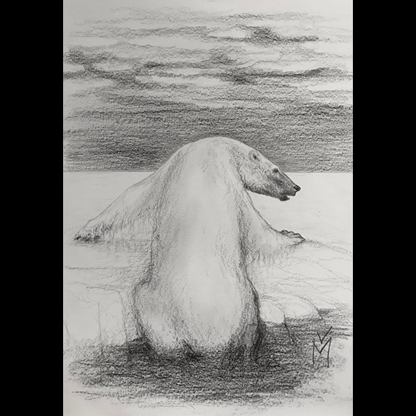 magnin-dessins