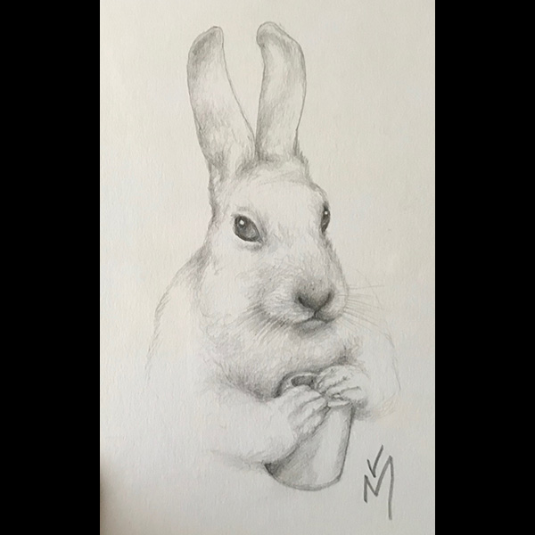 magnin-dessins